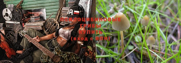 крисы Осташков