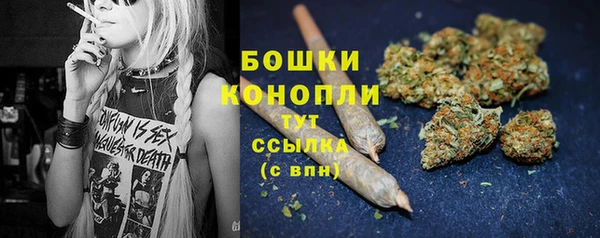 крисы Осташков