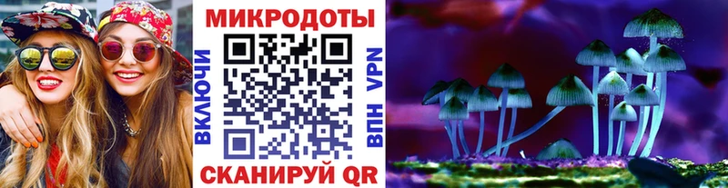 Псилоцибиновые грибы Psilocybine cubensis  наркота  OMG как зайти  Ипатово 