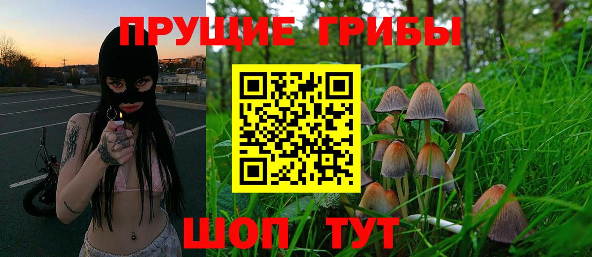 сколько стоит  Вход с VPN  Псилоцибиновые грибы прущие грибы  Ипатово  Галлюциногенные грибы ЛСД 