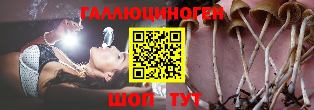 Галлюциногенные грибы мухоморы  Ипатово 